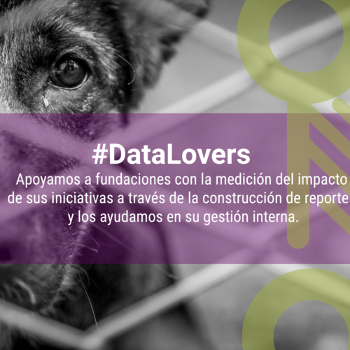 Que es ser #DataLovers y por que es importante en nuestras vidas