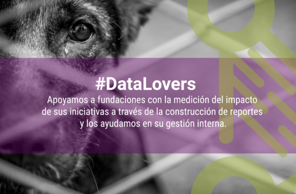 Que es ser #DataLovers y por que es importante en nuestras vidas