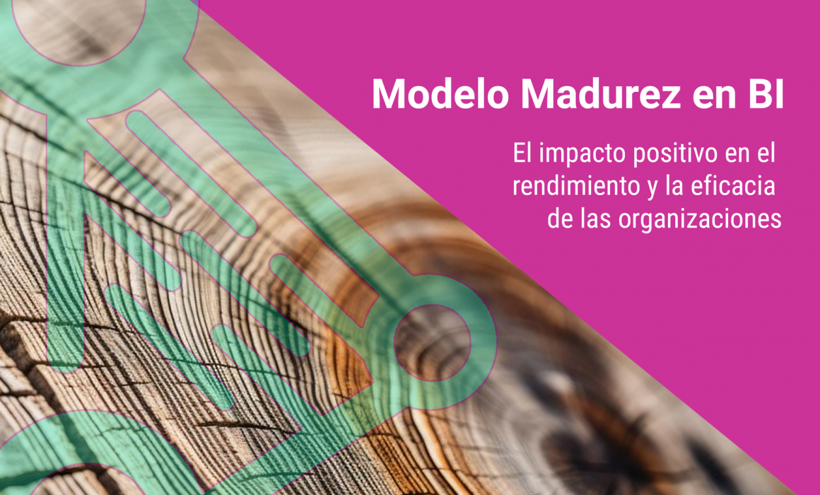 Modelo de Madurez de Business Intelligence (BI Maturity Model)
