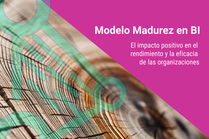 Modelo de Madurez de Business Intelligence (BI Maturity Model)