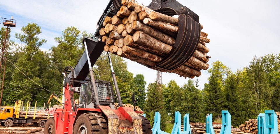 Harvester log loader working in plant manufacturing yard outdoors. Sawmill for treatment and processing of pine wood in factory with lumber. Woodworking industry, logging concept. Copy ad text space